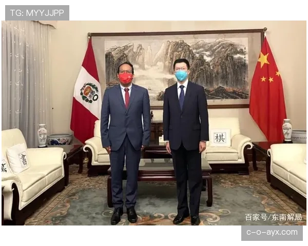 秘鲁队战术亮点解析：团队协作成提升比赛表现关键