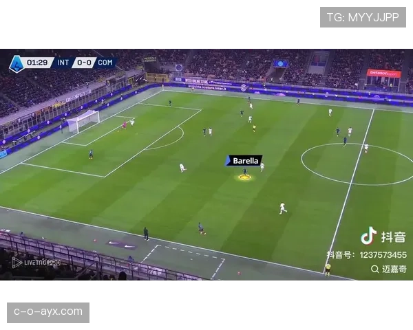 巴雷拉技术分析