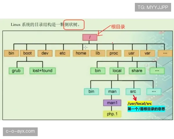 坎塞洛与阿诺德:组织型边卫的两种发展路径解析